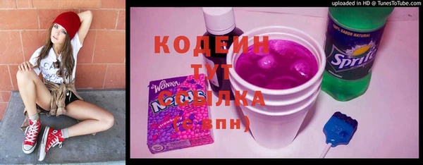 гидра Верхний Тагил