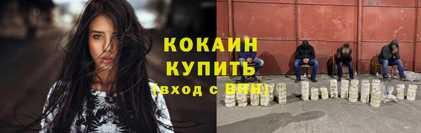 гидра Верхний Тагил