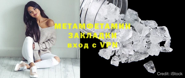 сатива Верея