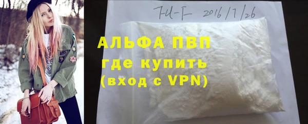 сатива Верея