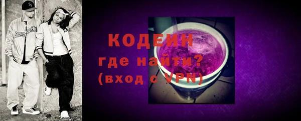 сатива Верея