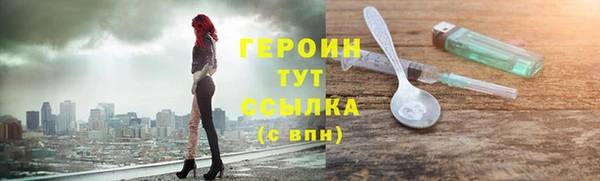гидра Верхний Тагил