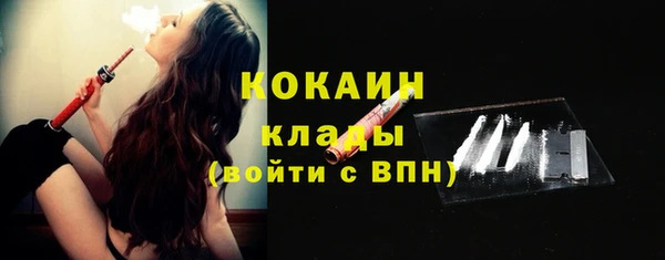 гидра Верхний Тагил