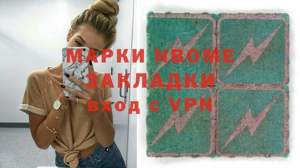 сатива Верея