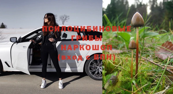 гидра Верхний Тагил