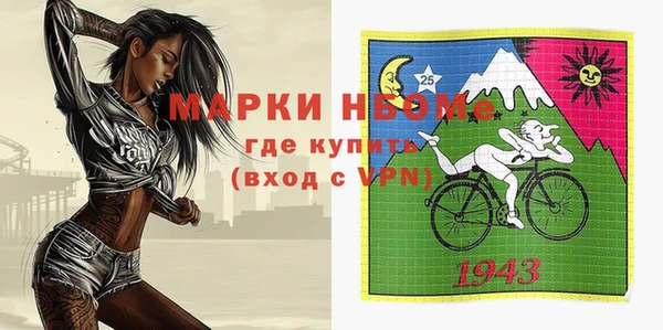 гидра Верхний Тагил