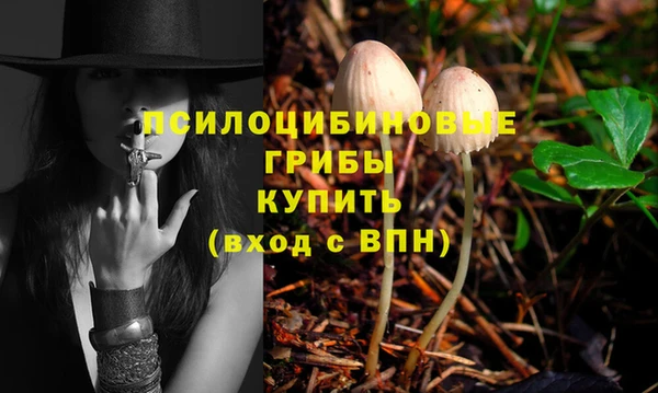 сатива Верея