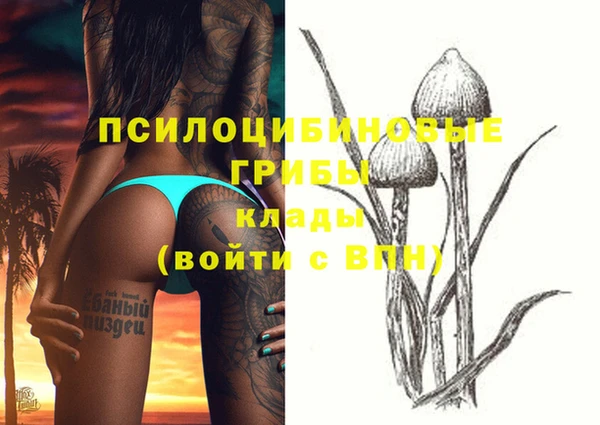 гидра Верхний Тагил