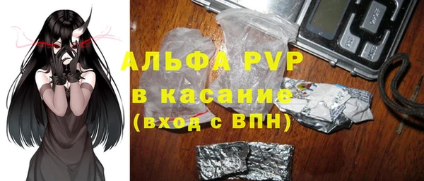 сатива Верея