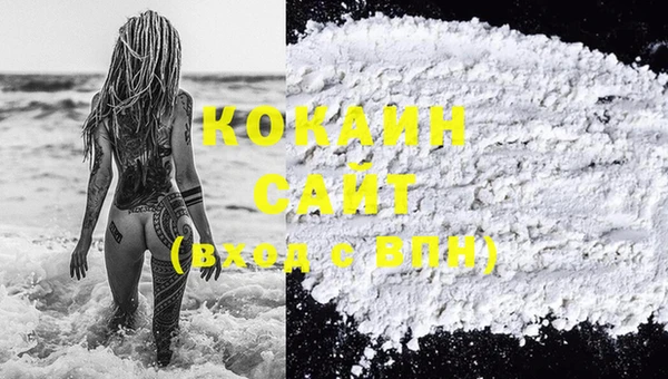 сатива Верея