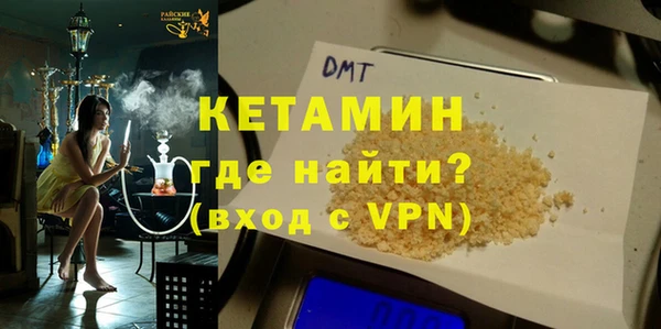 сатива Верея